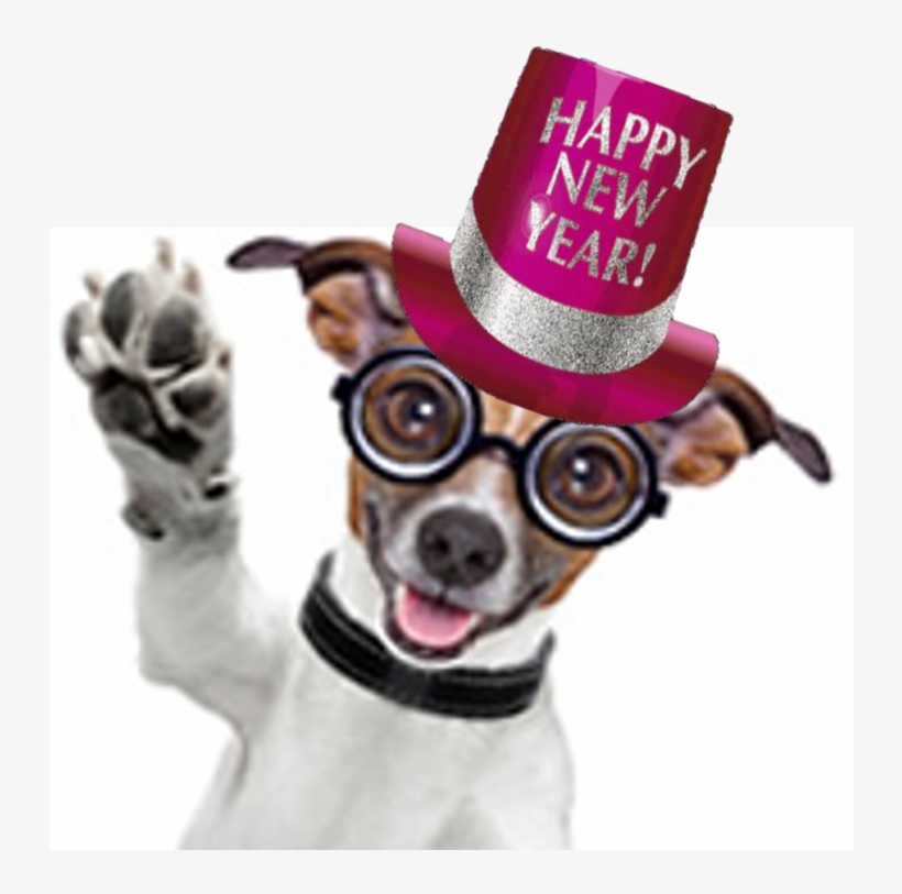 15 Dec - Poster: Brosch's Dog Toilet, 61x46in., transparent png
