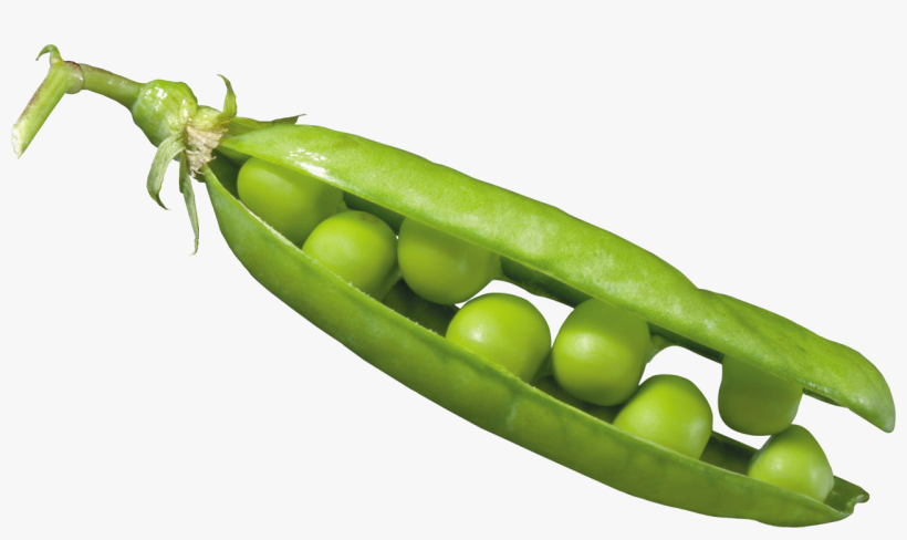 Pea Png - Peas Clipart Transparent, transparent png