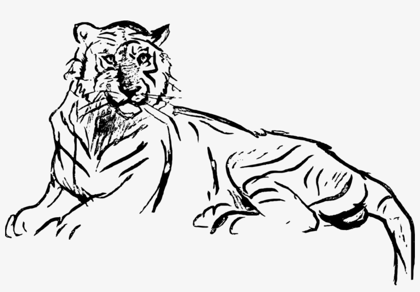 Free Image On Pixabay - Drawing, transparent png