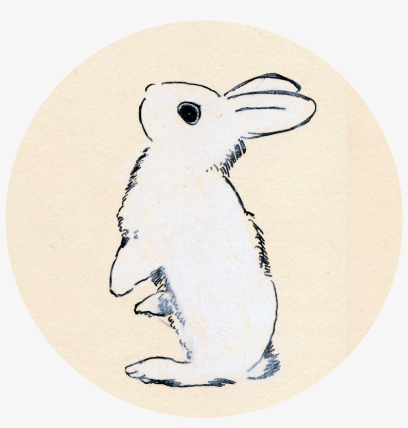 Initial Pen And Chalk Drawing - Cartoon, transparent png