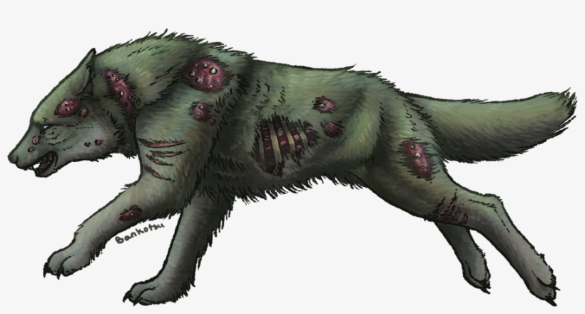 Wow Petopia Community - Drawing, transparent png