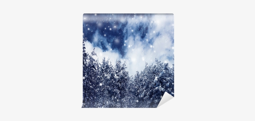 Stock Photography, transparent png