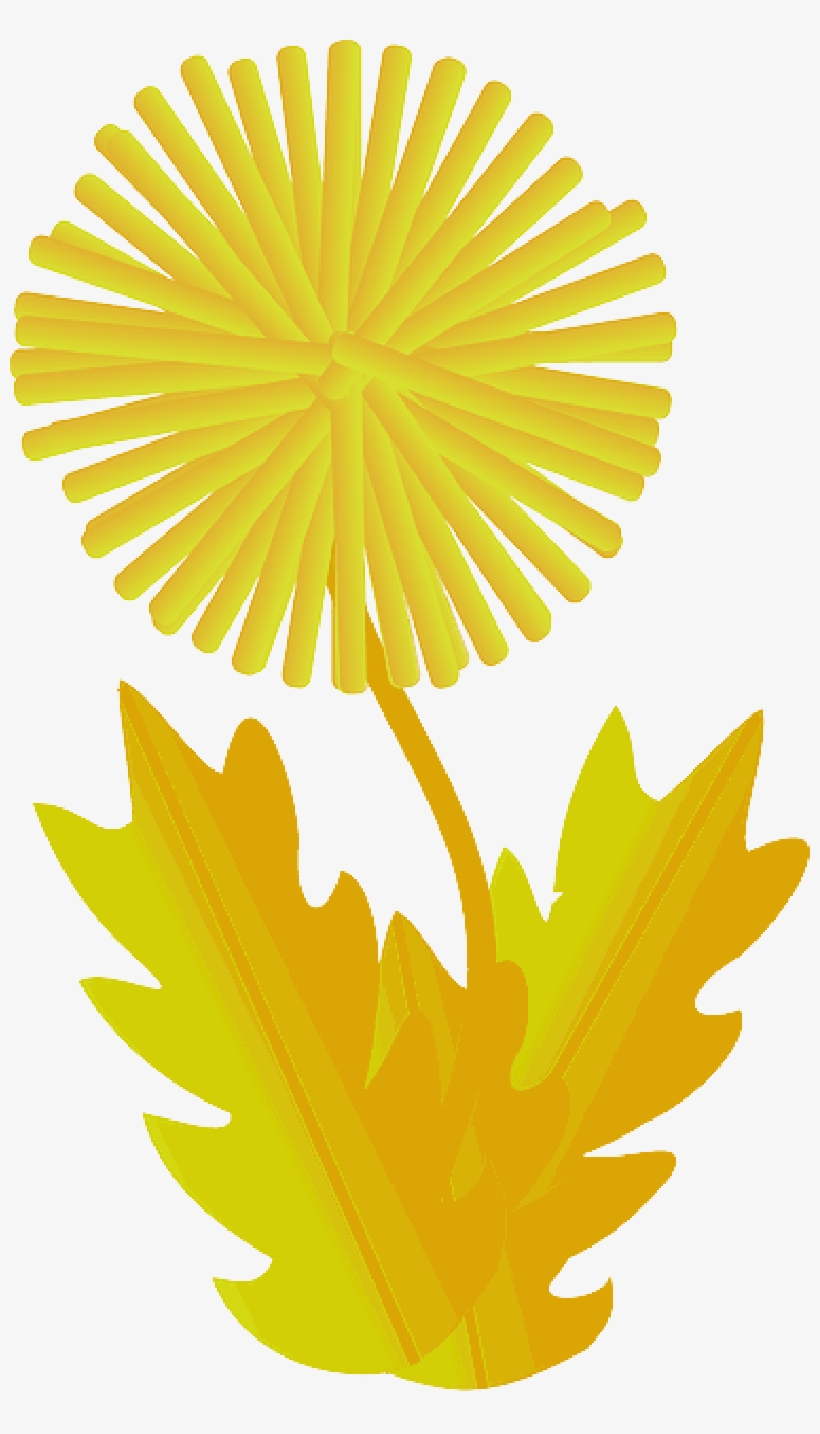 Mb Image/png - Dandelion Clip Art, transparent png