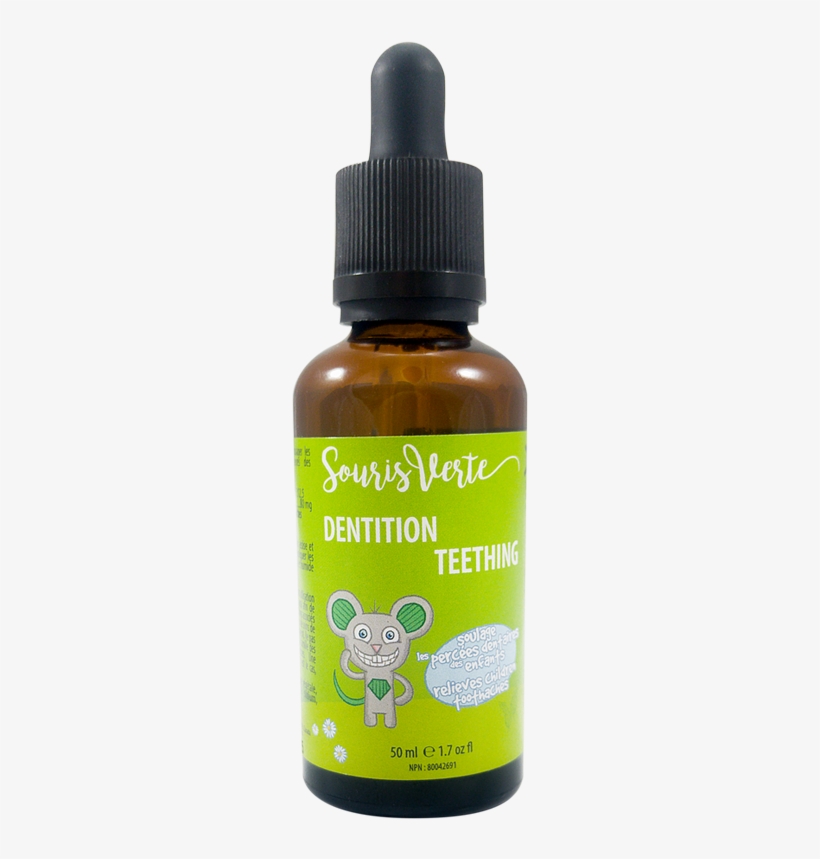 Souris Verte Dentition, transparent png