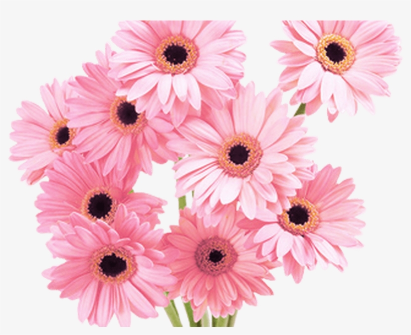 Flowers Pink Tumblr Vaporwave Aesthetic - Flower Daisy Pink, transparent png