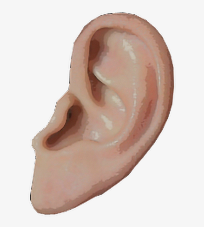 Ear Png, transparent png