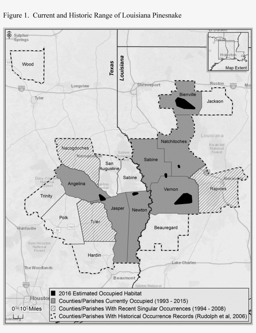 Despite Being Primarily Diurnal, The Louisiana Pinesnake's - Atlas, transparent png