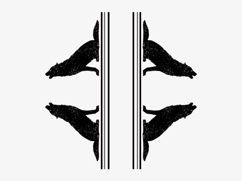 Fish, transparent png