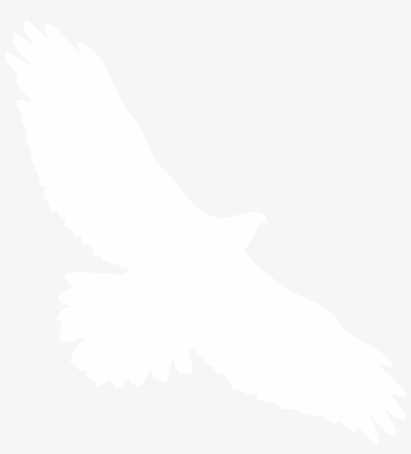 Hawk Silhouette Png - White Hawk Transparent, transparent png