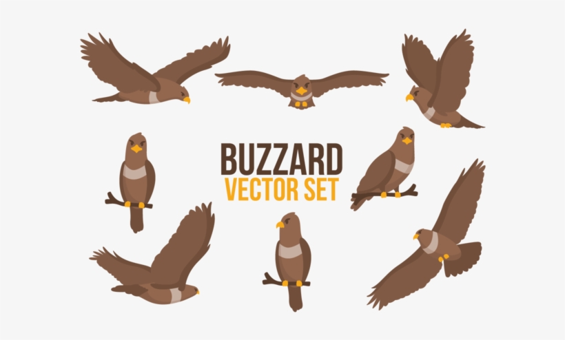 Buzzard Cartoons Vector - Buzzard, transparent png