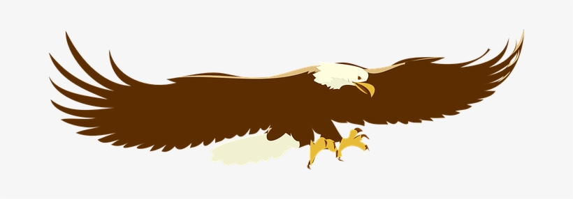Eagle Bald Landing Bird Raptor Wildlife Pr - Bald Eagle Clipart Png, transparent png
