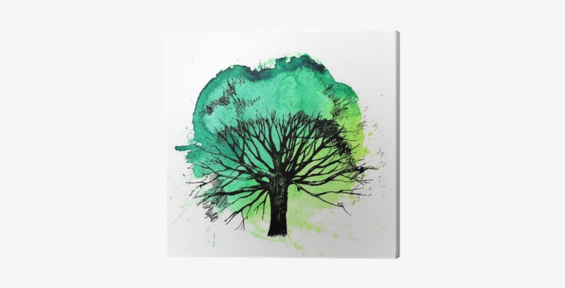 Oak, transparent png