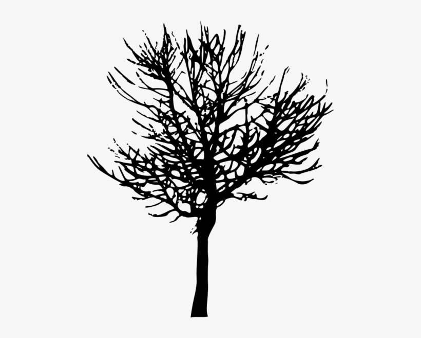 Free Png Tree Silhouette Png Images Transparent - Transparent Background Tree Silhouette Png, transparent png