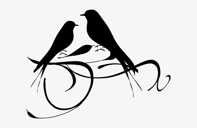 Birds On A Branch Clip Art - Black And White Designs Clip Art, transparent png