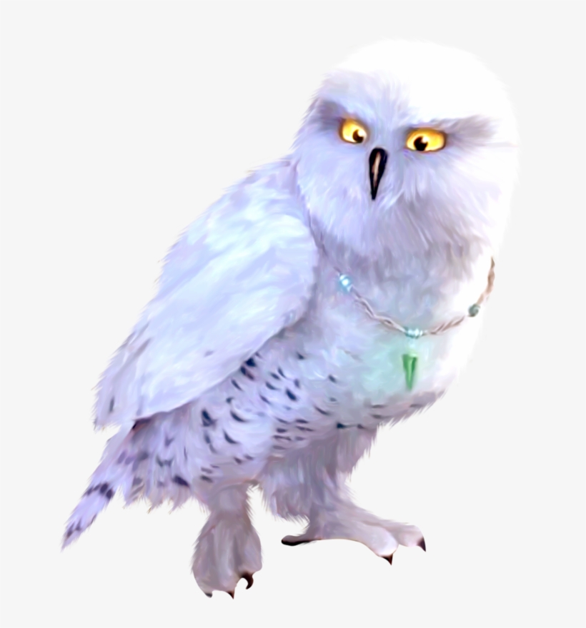 Publicat De Eu Ciresica La - Little Owl, transparent png