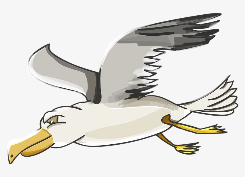 Albatross Clipart Beach - Gulls, transparent png