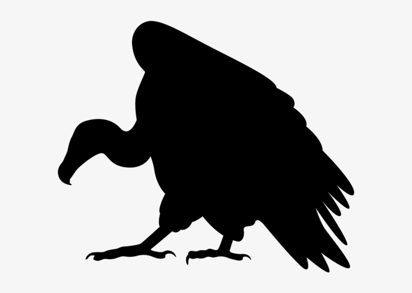 Vulture Image Royalty Free Buzzard Huge - Vulture Silhouette Clip Art, transparent png