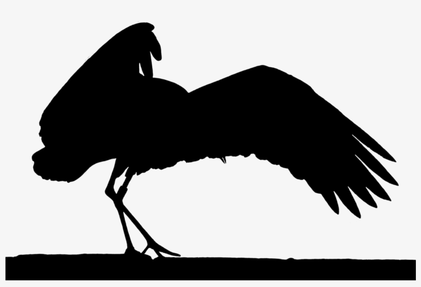 Stork Elegant Silhouette - Stork, transparent png