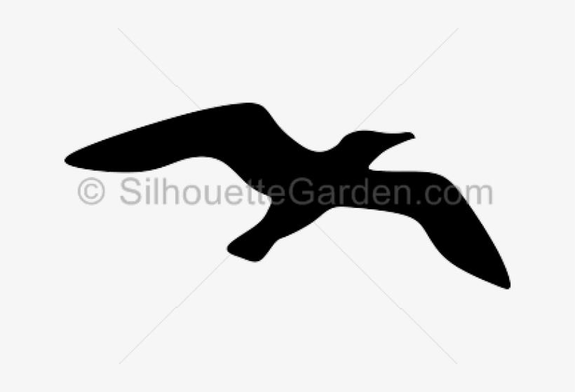 Clip Art, transparent png