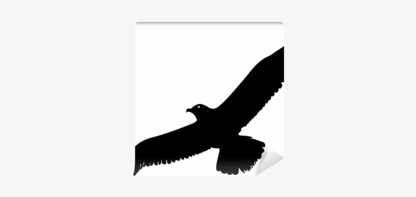 Silueta De Gaviota, transparent png