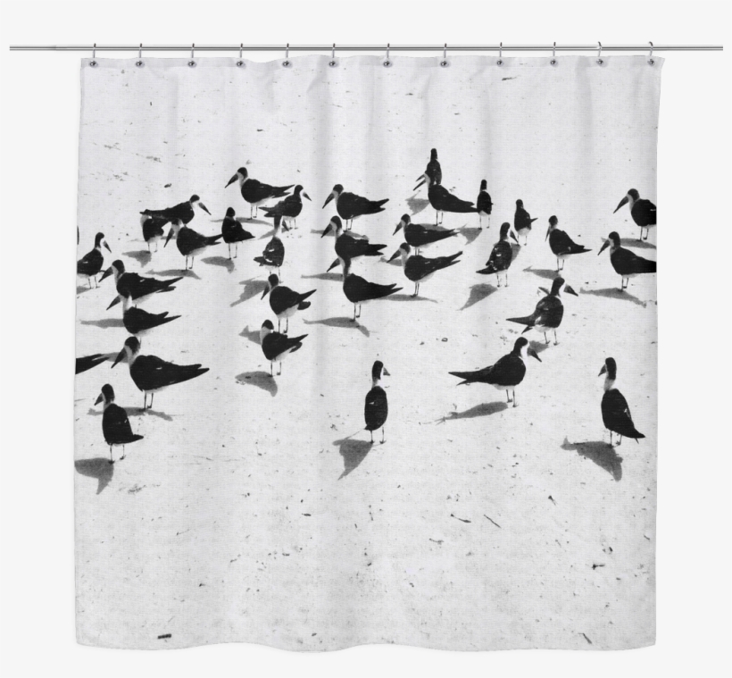 Birds On The Beach Woven Oxford Cloth Shower Curtain - Textile, transparent png