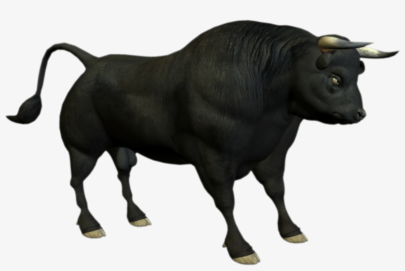 Bull Png, transparent png