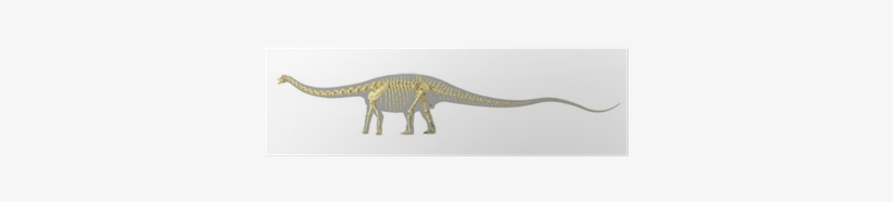 Diplodocus Dinosaur Silhouette, With Full Photo-realistic - Dinosaur, transparent png