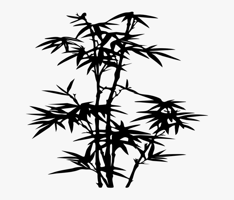 Bamboo, Plant, Black, Silhouette, Leaves - Bamboo Silhouette Png, transparent png
