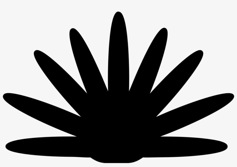 Agave Plant Silhouette Of Mexico Comments - Hand, transparent png