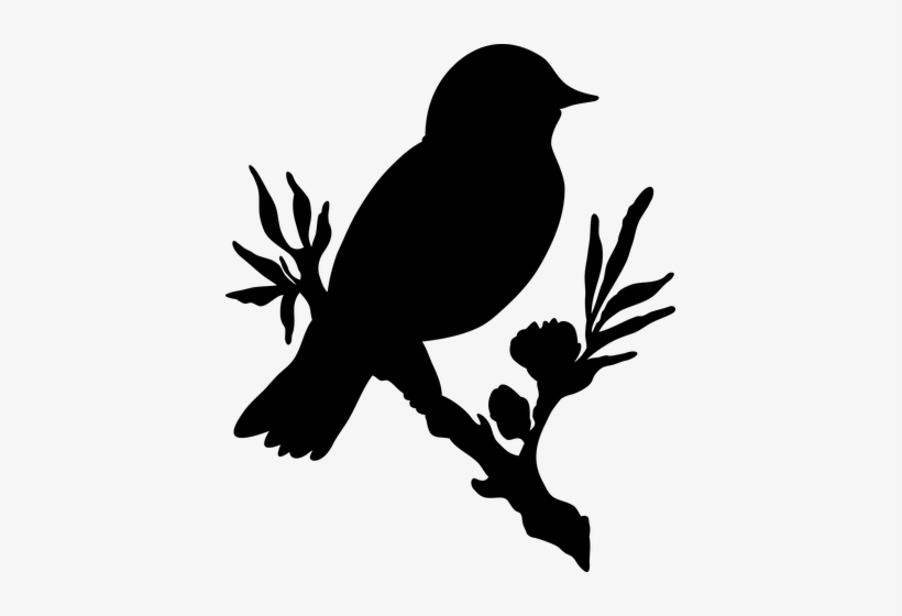 Bird Flower No Background Silouettes Pinterest - No Background, transparent png