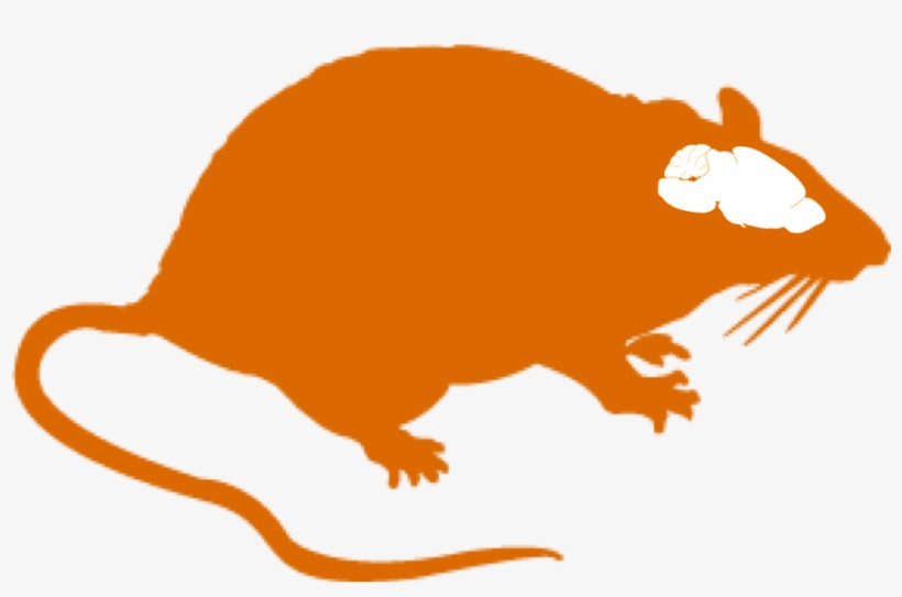 Rat Clipart Small Rat - Got Rat? Throw Blanket, transparent png