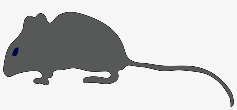 Rat Mouse Gerbil Rodent Cat - Clip Art, transparent png