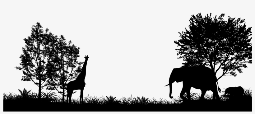 14 Apr 2015 - Great Days Ahead: Parenting Children Who Have Adhd, transparent png