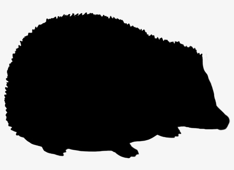 Rabbit Silhouette, Hedgehog Silhouette - Hedgehog Silhouette Png, transparent png
