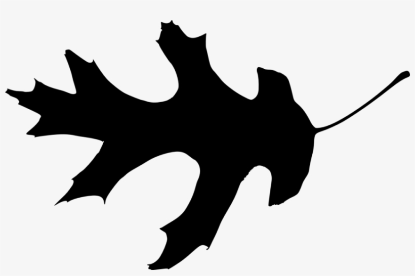 Free Png Leaf Silhouette Png Images Transparent - Portable Network Graphics, transparent png
