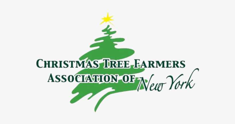 Visit Website - Christmas Tree, transparent png