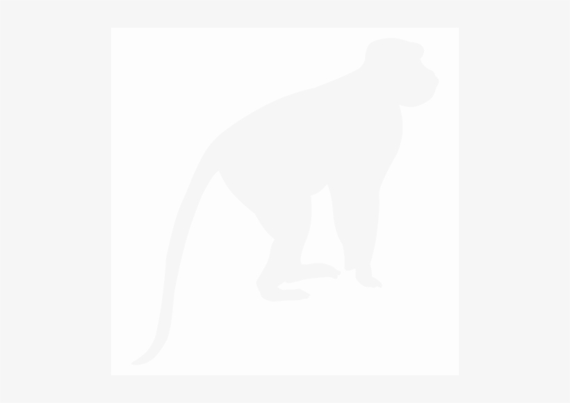 Monkey - African Monkey Silhouette, transparent png