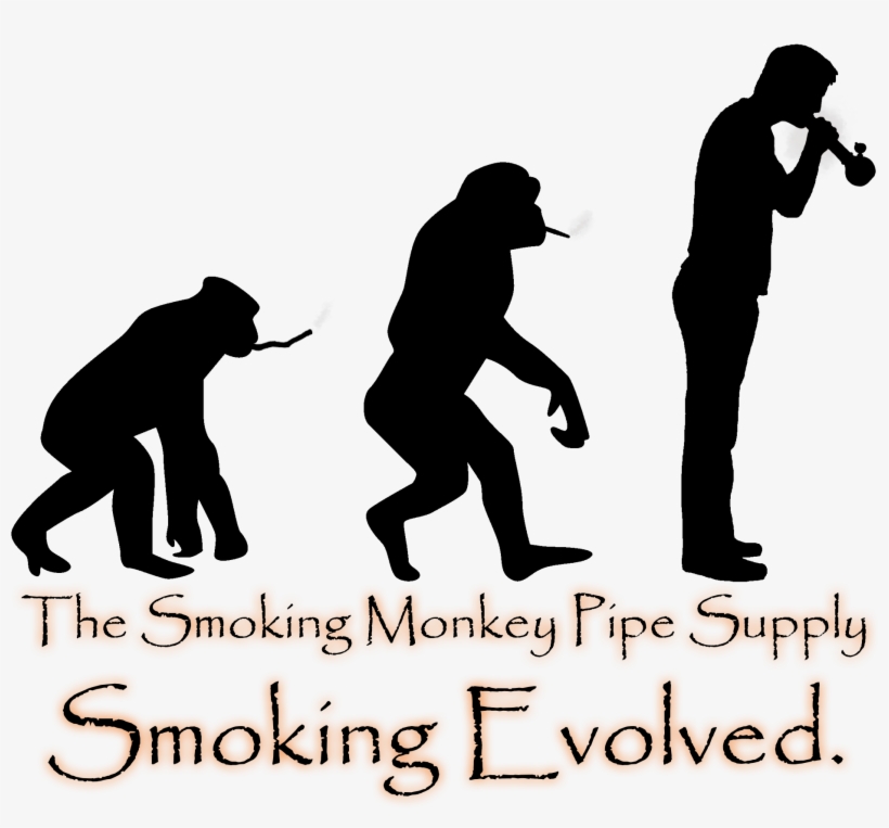 Evolution Is Fake News, transparent png