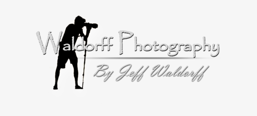 Waldorff Photography, transparent png