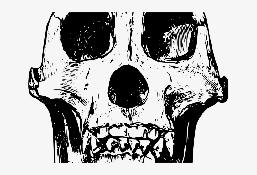 Sugar Skull Clipart Silhouette - Drawing Of Gorilla Skull, transparent png