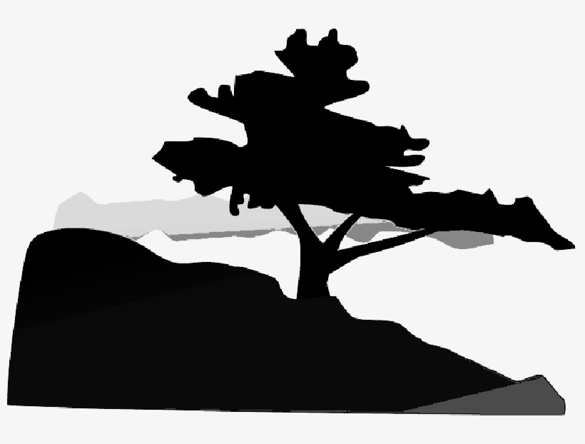 Mb Image/png - Bonsai Tree Clip Art, transparent png