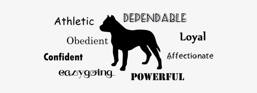 Pitbull (or Your Dog) Mom Baseball Tee, transparent png