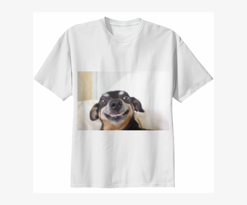 The Dog $38 - Companion Dog, transparent png