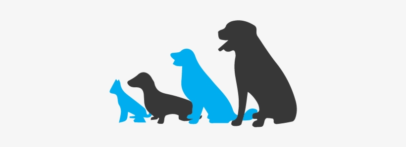 Small Group Segregation - Dog, transparent png
