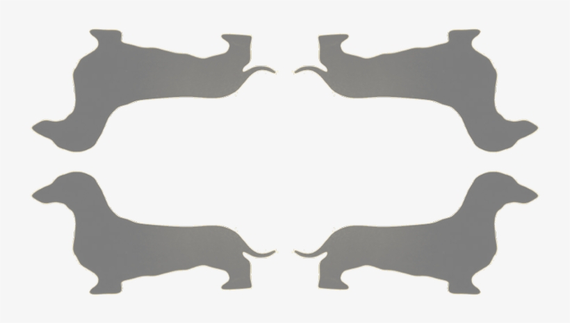 Dachshund, transparent png