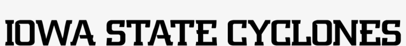 Artist, transparent png