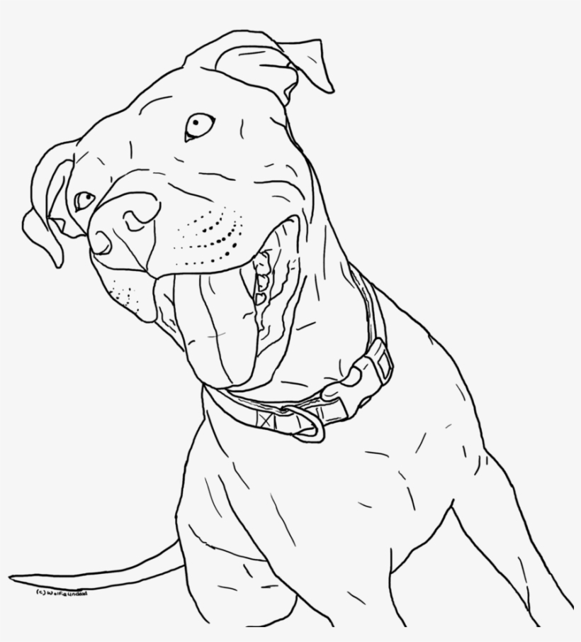 Pitbull Coloring Pages Little Coloring Page Pitbull - Drawing Of Baby Pitbull, transparent png