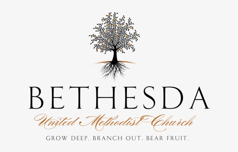 Bethesda Logo Png 1000x1000 PNG Download PNGkit