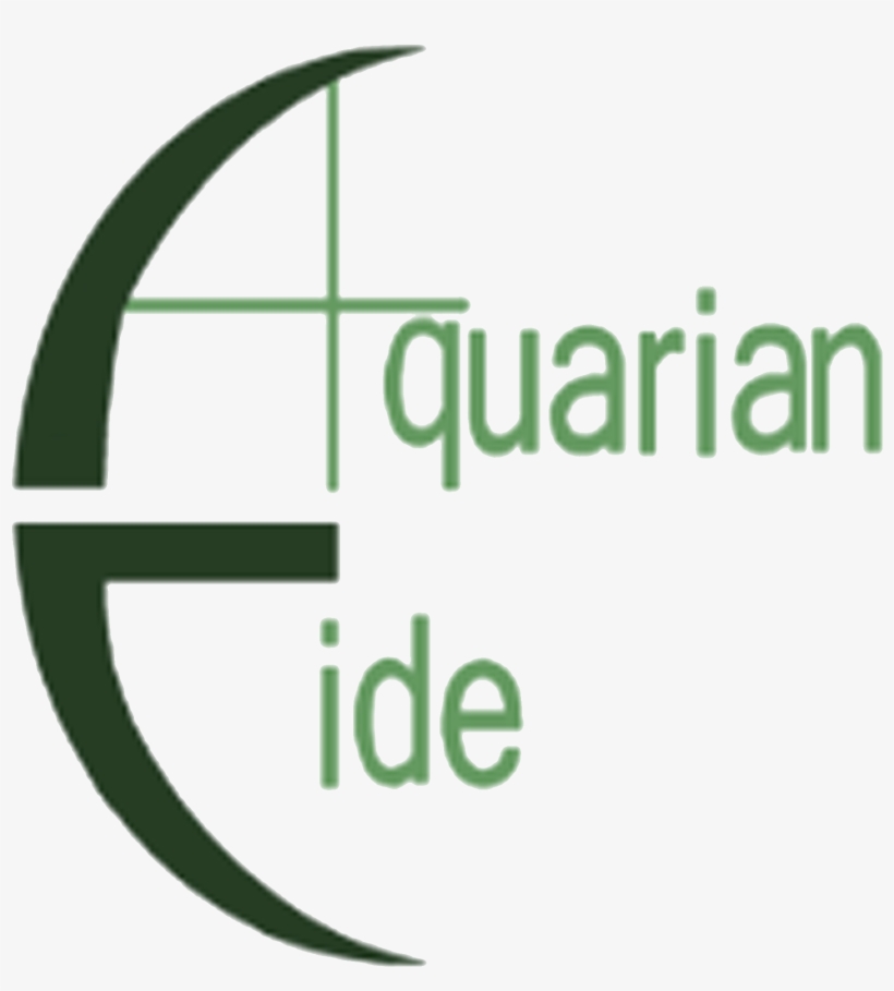 Graphic Design, transparent png