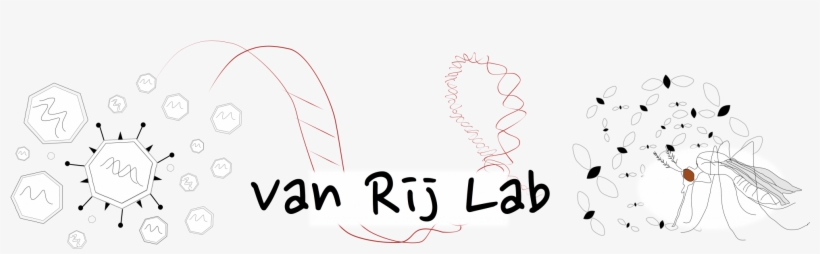 Doctor Of Philosophy, transparent png